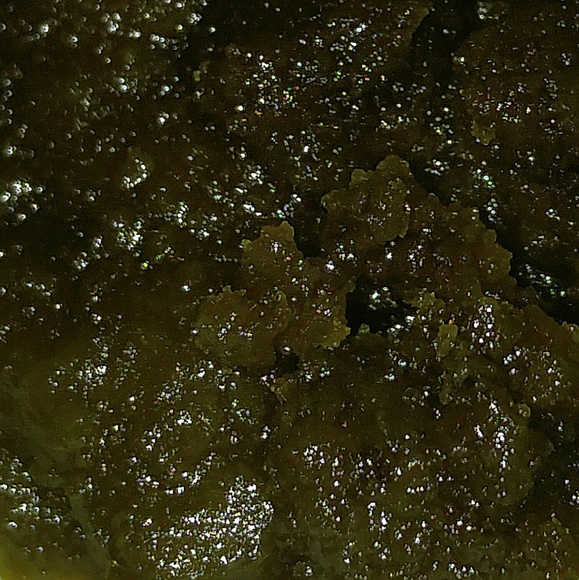 Profile Picture of Liam Martin (@lmartin5) on Poshmark