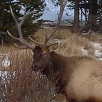 Profile Picture of Evan Miles (@evan-miles-25) on Quora