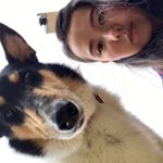 Profile Picture of Mitra Karimi (@mitra_roya) on Instagram