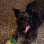 Profile Picture of Roy Beebe (@cbtwo123) on Instagram