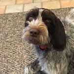 Steve Ortmann - Instagram Profile Picture of Steve Ortmann (@steve.ortmann) on Instagram