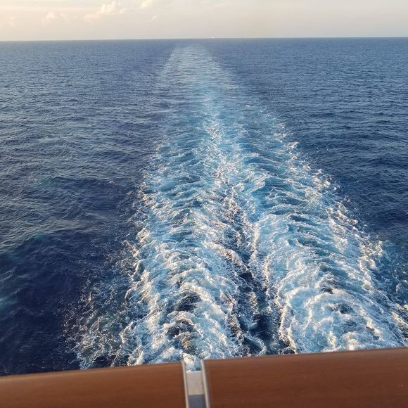 Profile Picture of Susan Polasek (@susanpolasek) on Poshmark