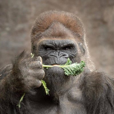 Profile Picture of Luke Smith (@leos0879) on Twitter