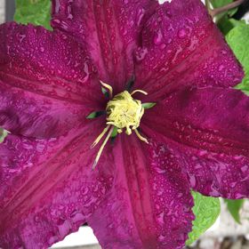 Profile Picture of Michele Hetzel (@michelehetzel) on Pinterest