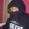 Profile Picture of Angel_feathers (@sharonmcclintock) on Tiktok