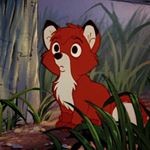 Profile Picture of 𝐉𝐚𝐦𝐞𝐬 𝐄𝐛𝐞𝐫𝐡𝐚𝐫𝐝 🦊 (@_harcer) on Instagram