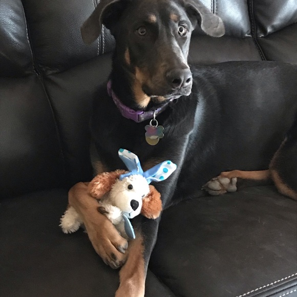 Profile Picture of Cindy Fike (@simicin53) on Poshmark