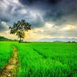 Profile Picture of Gregory Larson (@gregory_larson27) on Instagram