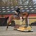 Profile Picture of Heidi Engelhardt Nielsen (@heidi.e.nielsen.77) on Facebook