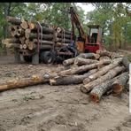 Profile Picture of Brad Turnbough (@Brad-Turnbough) on Facebook