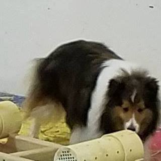 Profile Picture of Dawne Kitowski (@dawne.schmidt.94) on Facebook