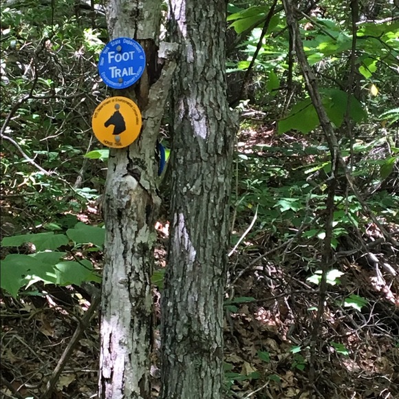 Alo Amoguis - Poshmark Profile Picture of Alo Amoguis (@ecamoguis) on Poshmark