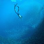 Profile Picture of Nathan Chiu (@nathanchiuyc) on Instagram