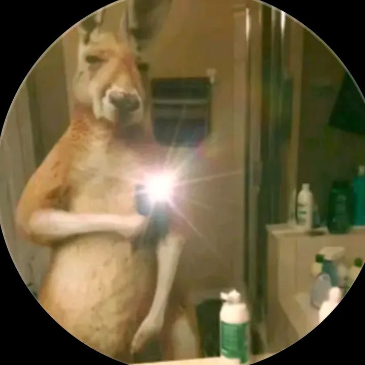 Jacob - Tiktok Profile Picture of Jacob (@jacob.fer) on Tiktok