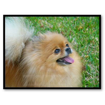 Profile Picture of Rosalee Stackhouse (@MosesRose) on Twitter
