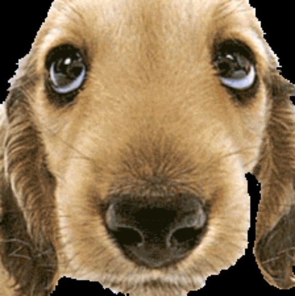 Christine Rosten - Poshmark Profile Picture of Christine Rosten (@rosten) on Poshmark