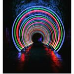 maranda watson - Instagram Profile Picture of maranda watson (@maranda1234world) on Instagram