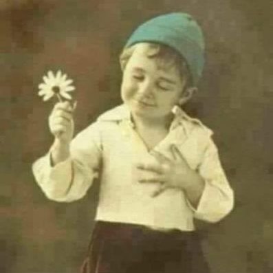 Profile Picture of Nader Jo (@NaderJo4) on Twitter