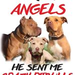 Profile Picture of Kiril Ivanov Kennels (@kiril_ivanov_kennels) on Instagram