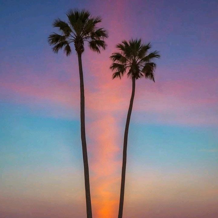 Profile Picture of Michael Eld (@michael.eld) on Tiktok