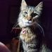 Profile Picture of Kathy Batts (@kathy.batts.92) on Facebook