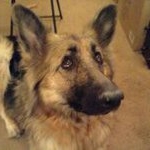 Profile Picture of James Proctor (@jimmyeatmars) on Instagram