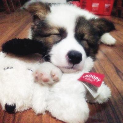 Profile Picture of Weiwei Xu (@WeiLittlePlanet) on Twitter