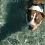 Profile Picture of Jason Fothergill (@thefothergill) on Facebook