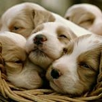 Profile Picture of leon peckmann (@leon.p02) on Instagram