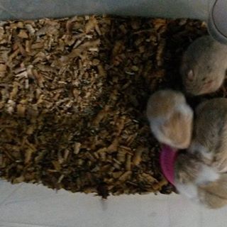 Josephine Manana - Facebook Profile Picture of Josephine Manana (@josephine.manana.7) on Facebook