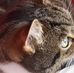 Profile Picture of Sandra Lafferty (@sandra.lafferty.75) on Facebook