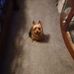 Profile Picture of Nancy Conrey (@nancy.conrey.39) on Facebook