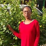 Profile Picture of Folasade Popoola (@folasadepopoola) on Instagram