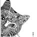 Profile Picture of Kat Carola Rader (@kat.rader.9) on Facebook