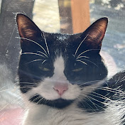 Profile Picture of James Stuck (@jamesstuck8827) on Youtube