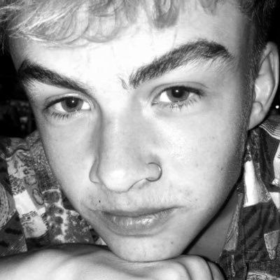 Profile Picture of Toby J H Carpenter (@TobyJHCarpente1) on Twitter
