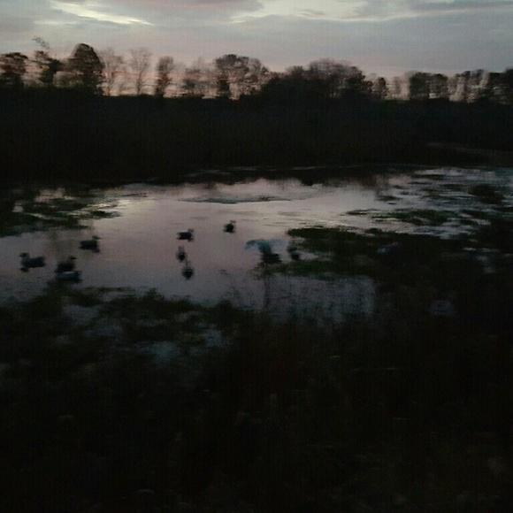 Profile Picture of Jimmy Skinner (@jmedidit) on Poshmark