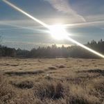 Profile Picture of Darren Brimner (@darrenbrimner) on Instagram