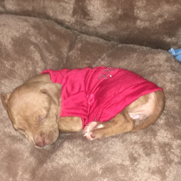 Profile Picture of Monica Lipsey (@monica289) on Poshmark