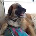 Profile Picture of Pamela Hamblin (@pamela.hamblin.58) on Facebook