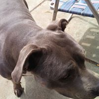 Profile Picture of Glenn Davison (@davison3465) on Pinterest