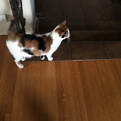 Profile Picture of Silas Clark Aka. SC#30 (@silasclarkaka.sc309) on Youtube