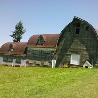 Profile Picture of Doris Mendenhall (@doris.mendenhall.7) on Facebook