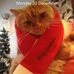 Profile Picture of Brian Westerman (@brian.westerman.142) on Facebook