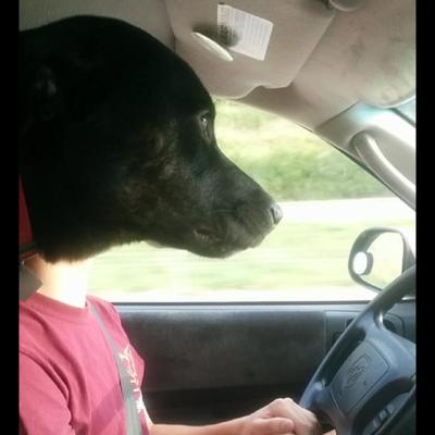 Profile Picture of Fun Size Nick (@NickGrove17) on Twitter
