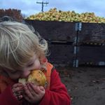 Profile Picture of Jeremy VanSice (@jeremyvansice) on Instagram