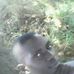 Profile Picture of Daniel Kyema (@daniel.kyema.3) on Facebook