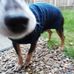 Profile Picture of Tony Bowe (@tony.bowe.12) on Facebook
