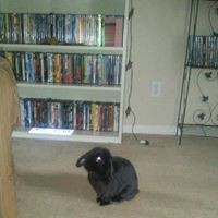 Profile Picture of Vivian Roberts (@vivian-roberts-10) on Quora