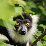 Profile Picture of Sandra Knight (@sandie.knight) on Flickr